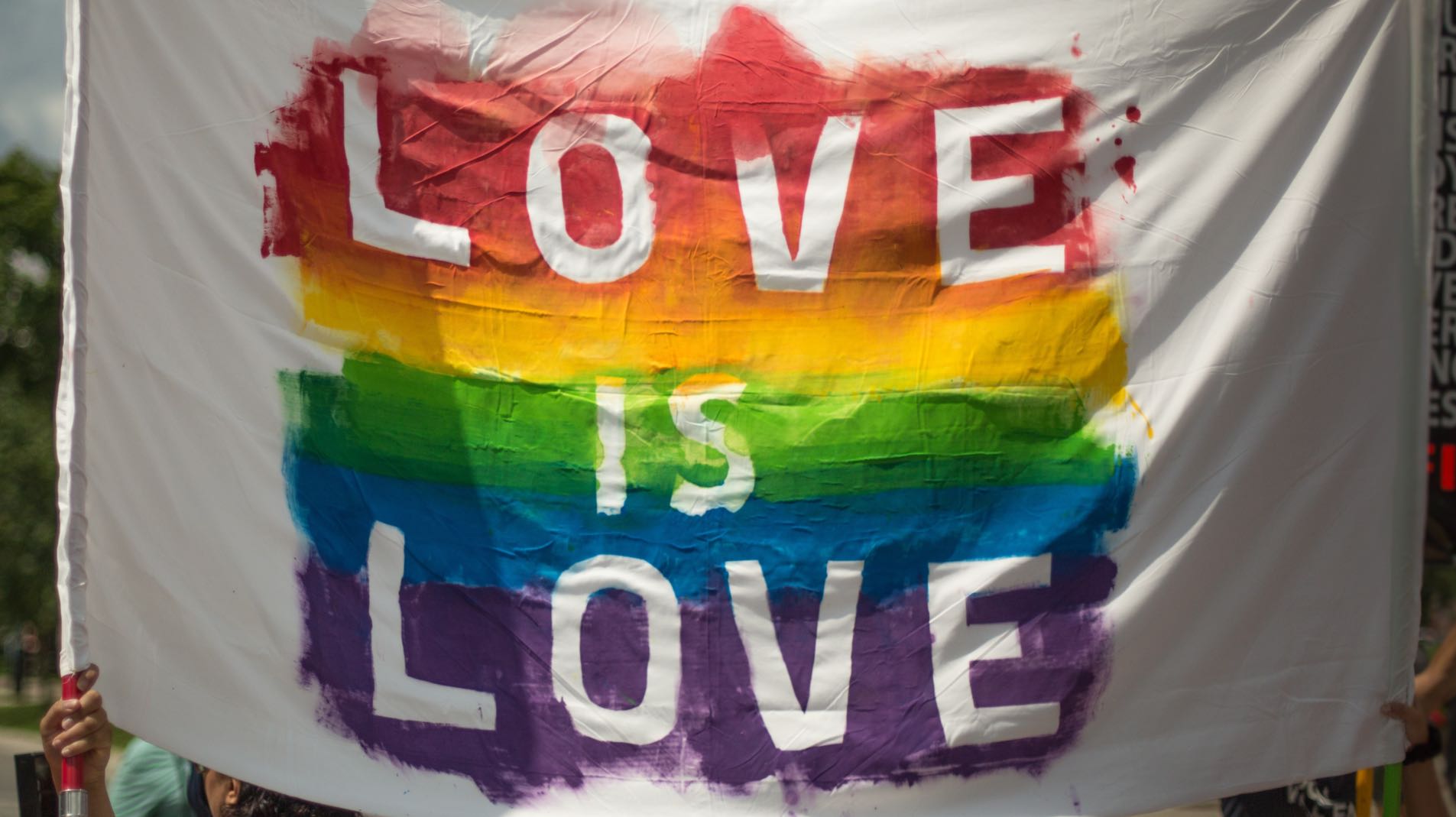 ONGS LGBTQIA+ DO BRASIL